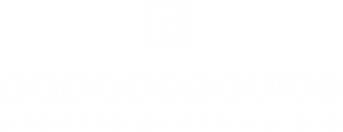 pplastic logo